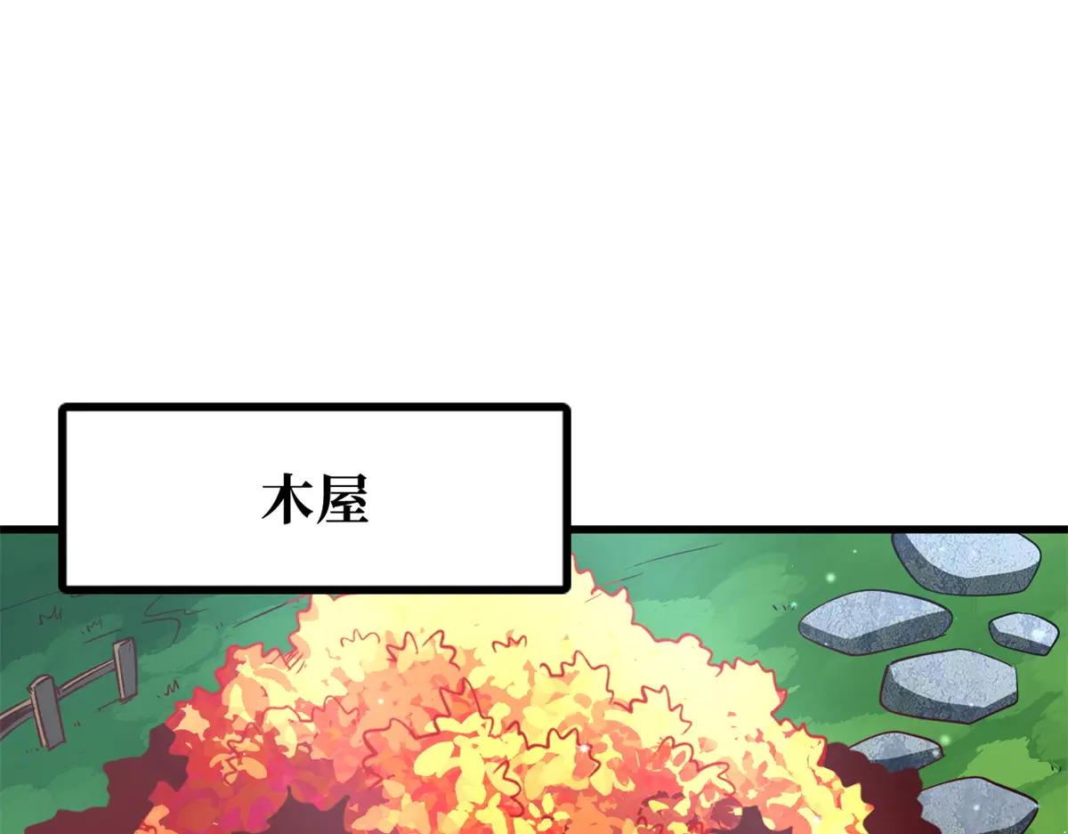 371 生命的机密 第3页