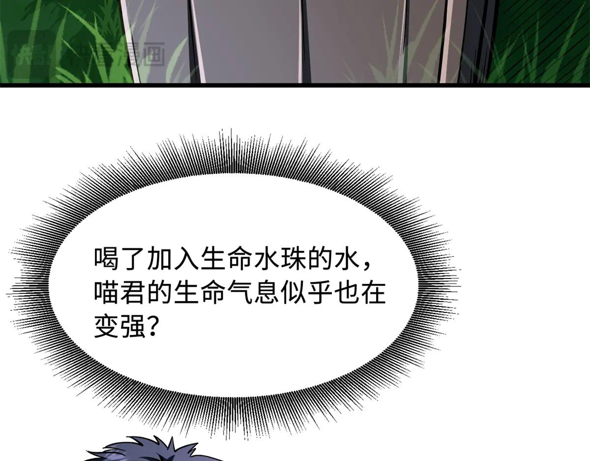 371 生命的机密 第55页