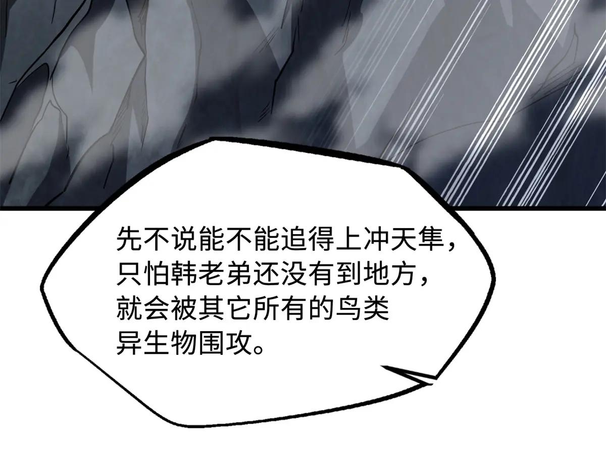 216 冲天隼王 第74页