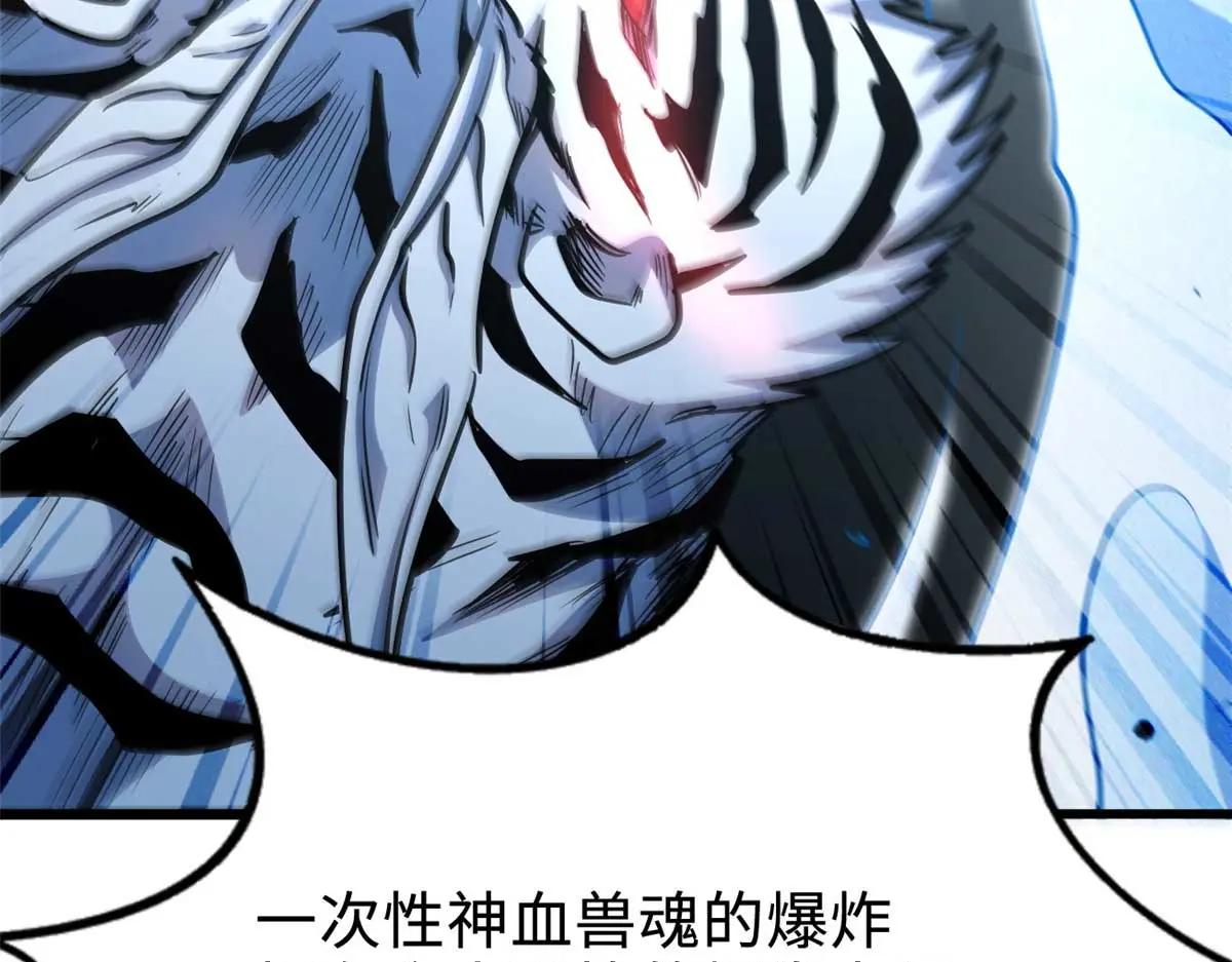 205 白虎御风 第138页