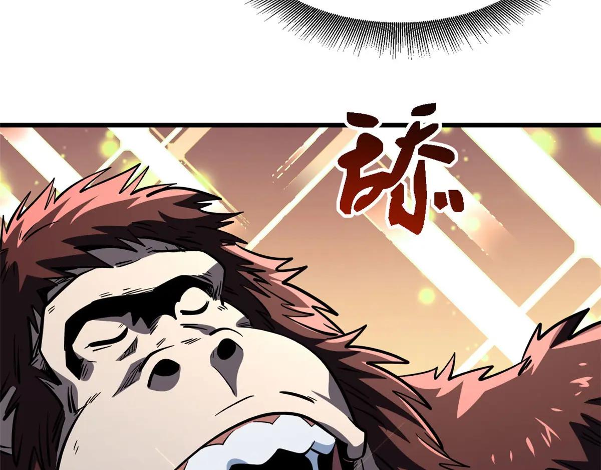 375 异生物集市 第78页
