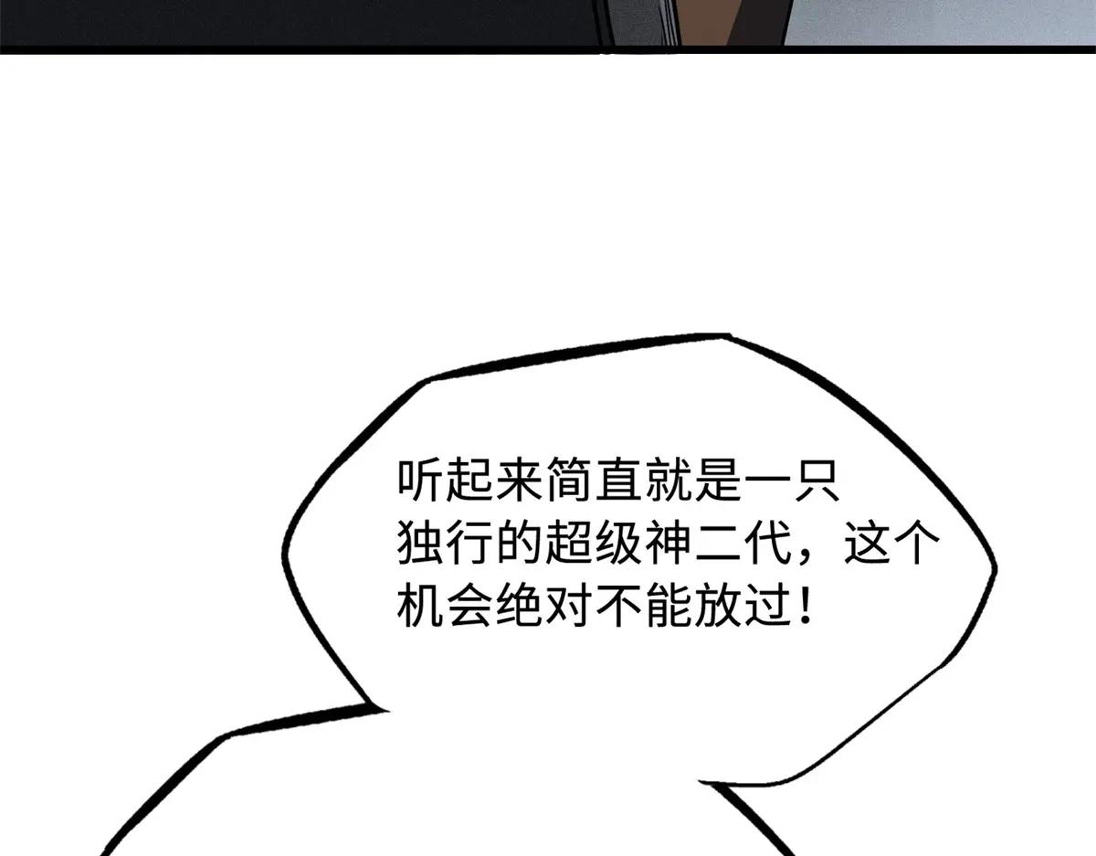 248 Z钢原石 第102页