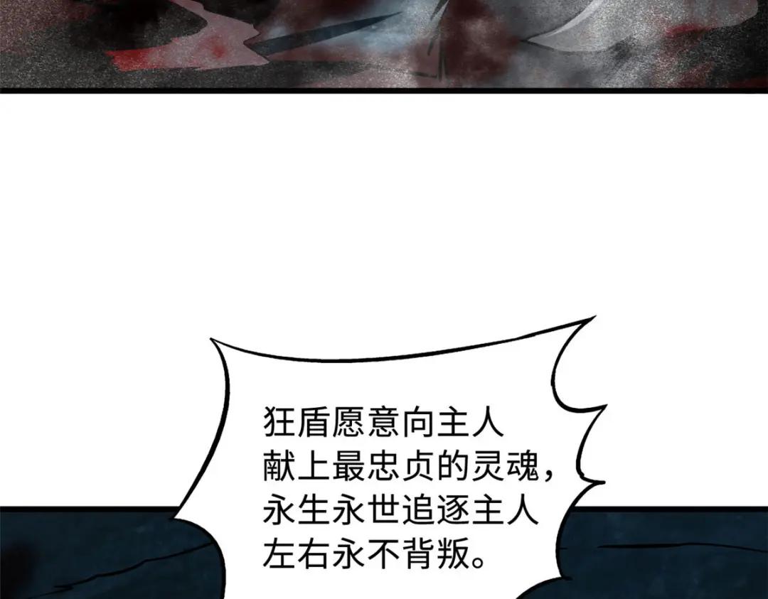 171 异灵狂盾 第33页