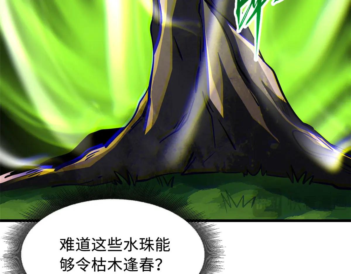 369 枯木逢春 第67页