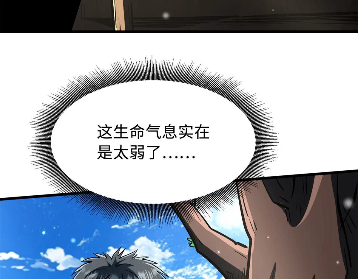369 枯木逢春 第84页