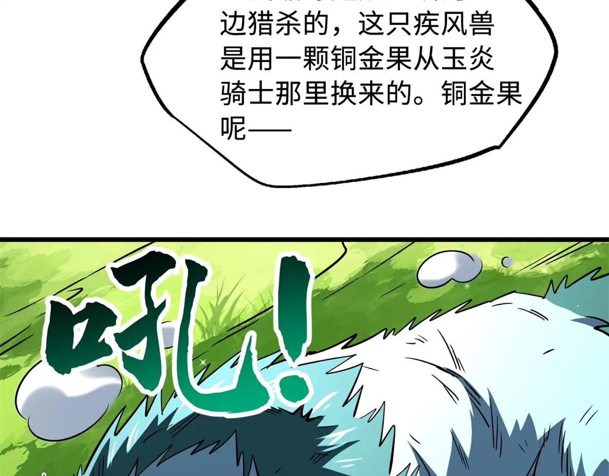 377 不可驯服的疾风兽 第43页
