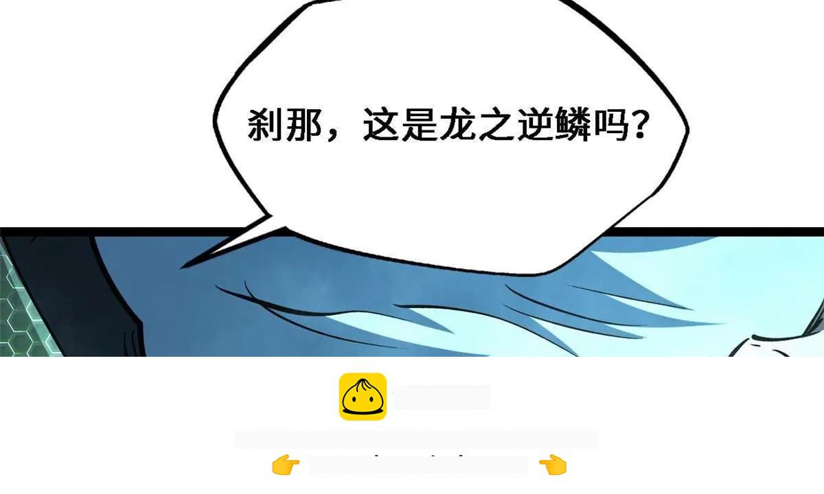 428 龙帝龙珠 第100页