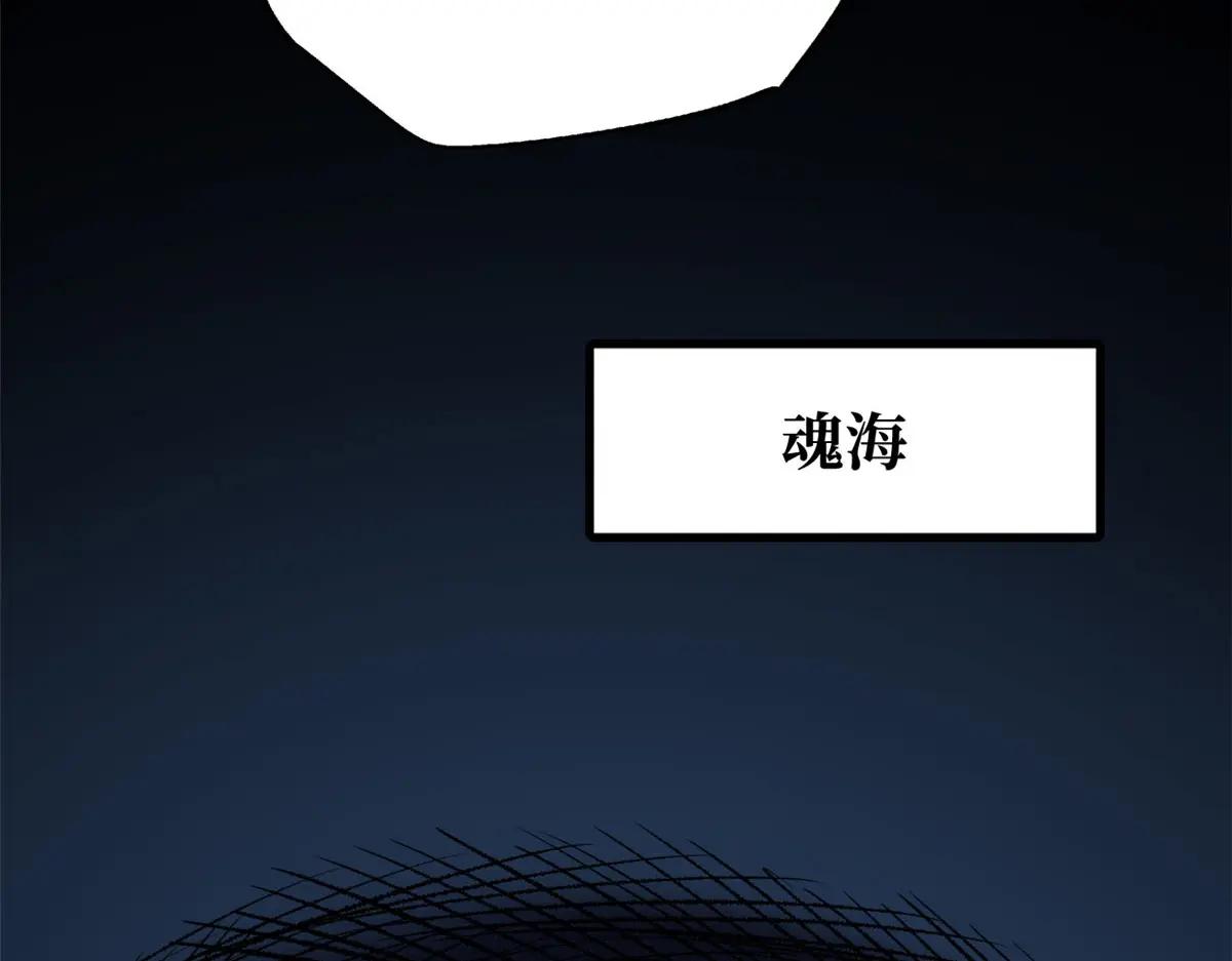 213 冥眼孔雀兽魂 第82页