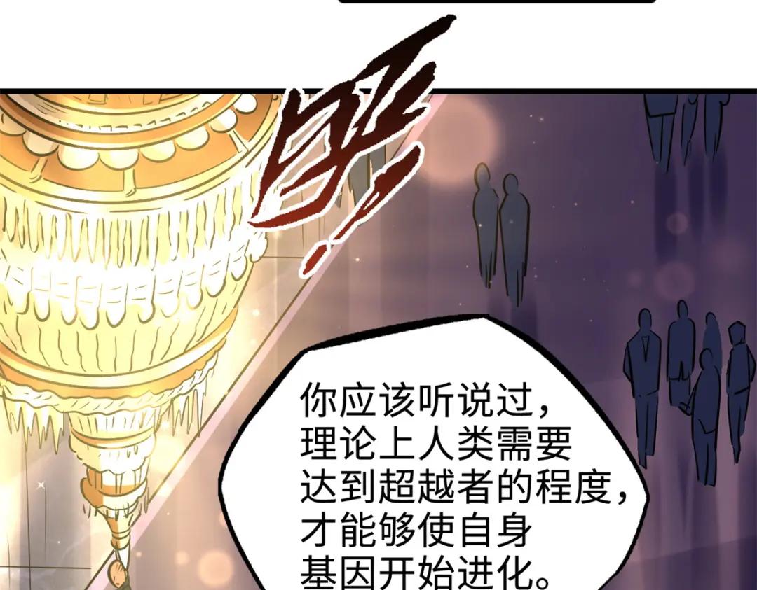 178 四大家族交流会 第37页