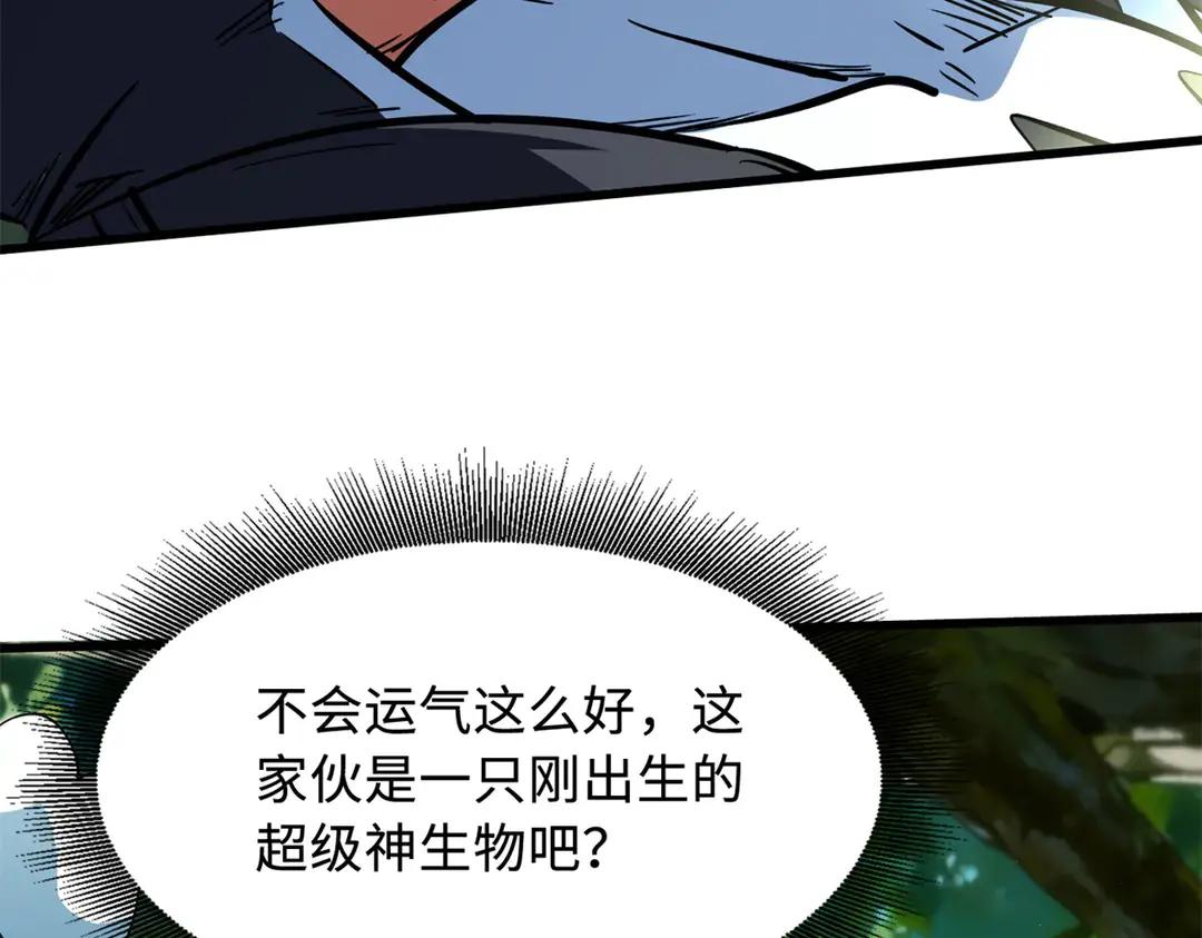 398 旺财 第12页