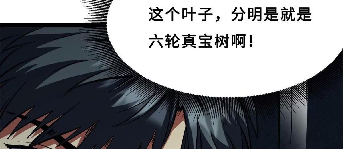 419 扫荡基因植物园 第4页