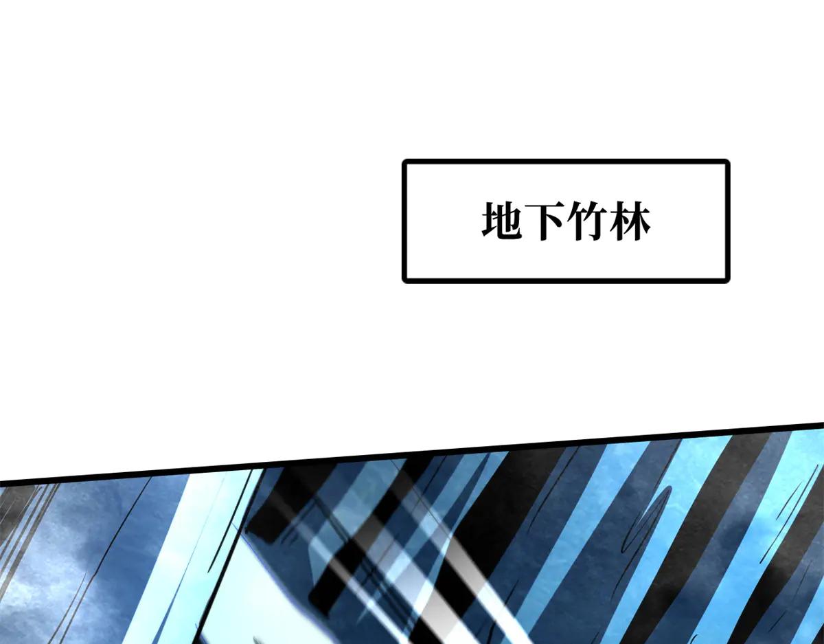 284 启程！ 第51页