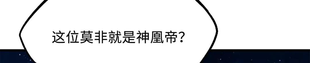 399 神凰帝 第41页