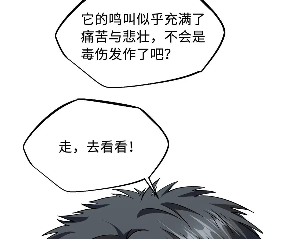 211 不期而遇的珍宝 第72页