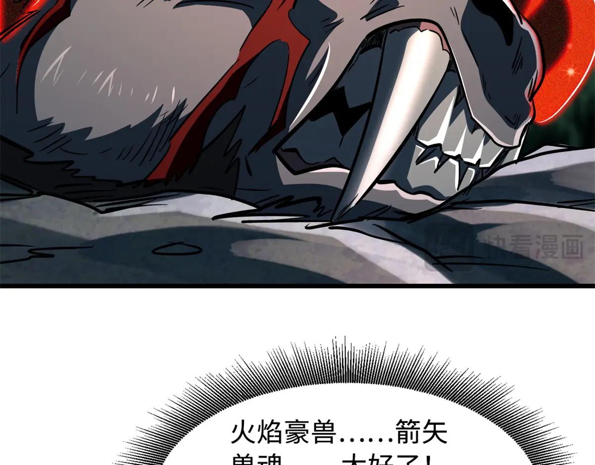 379 箭矢兽魂 第79页