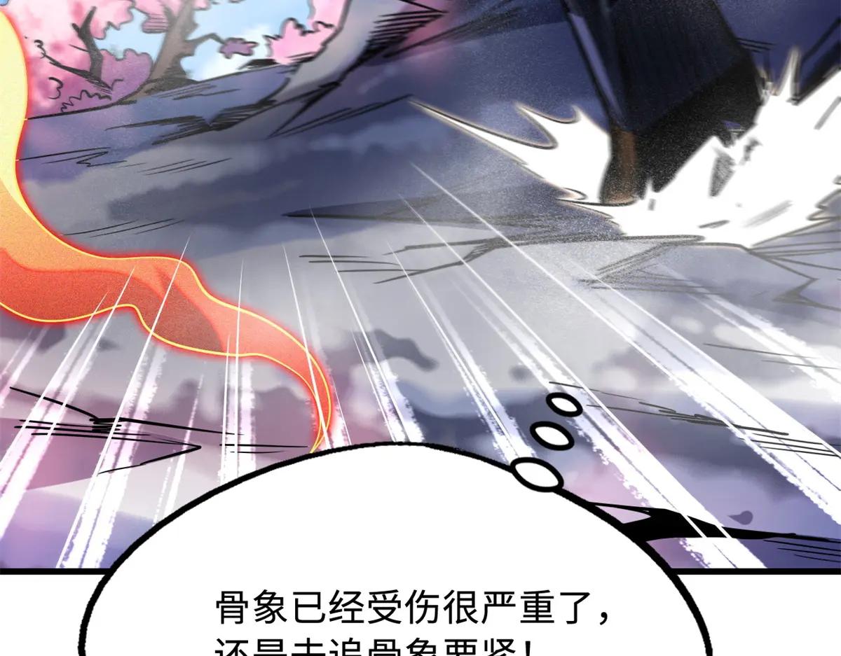 241 轰杀圣骨象 第46页