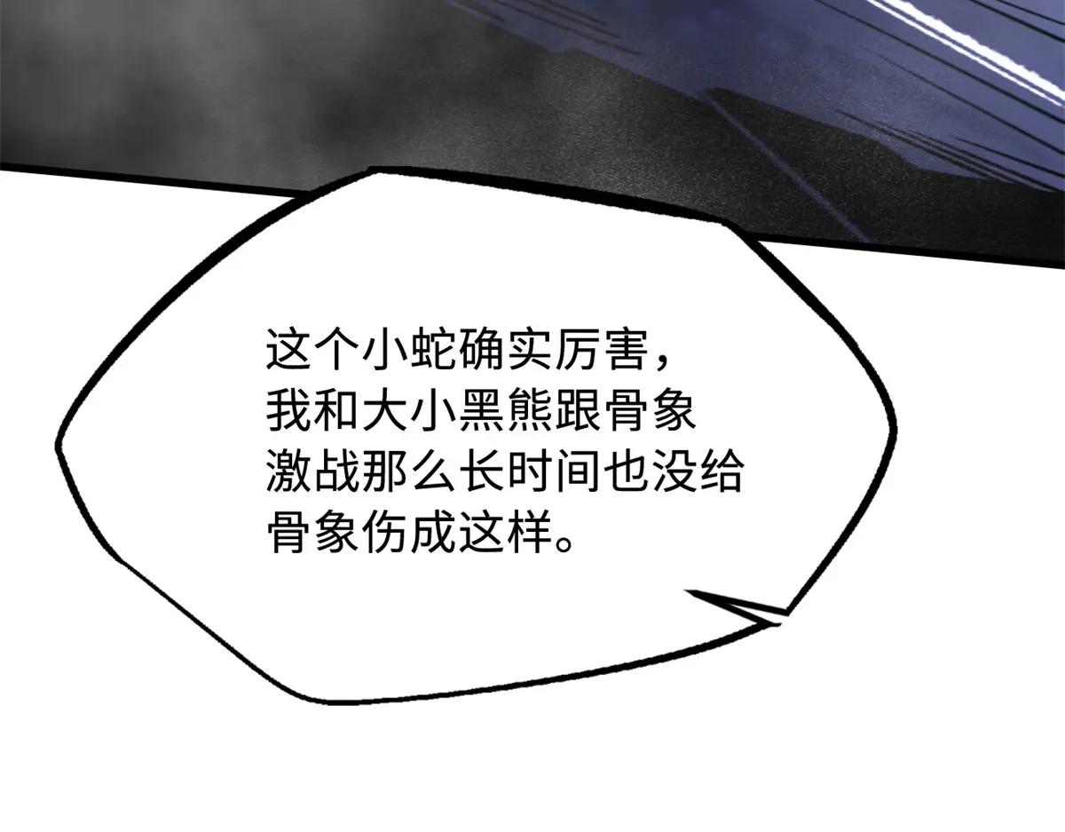 241 轰杀圣骨象 第63页