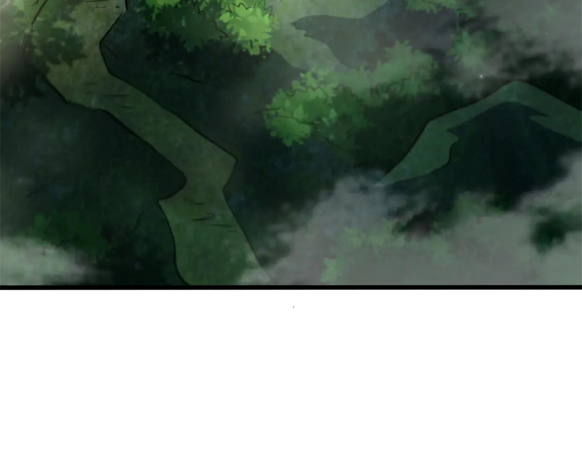 293 奇花 第7页