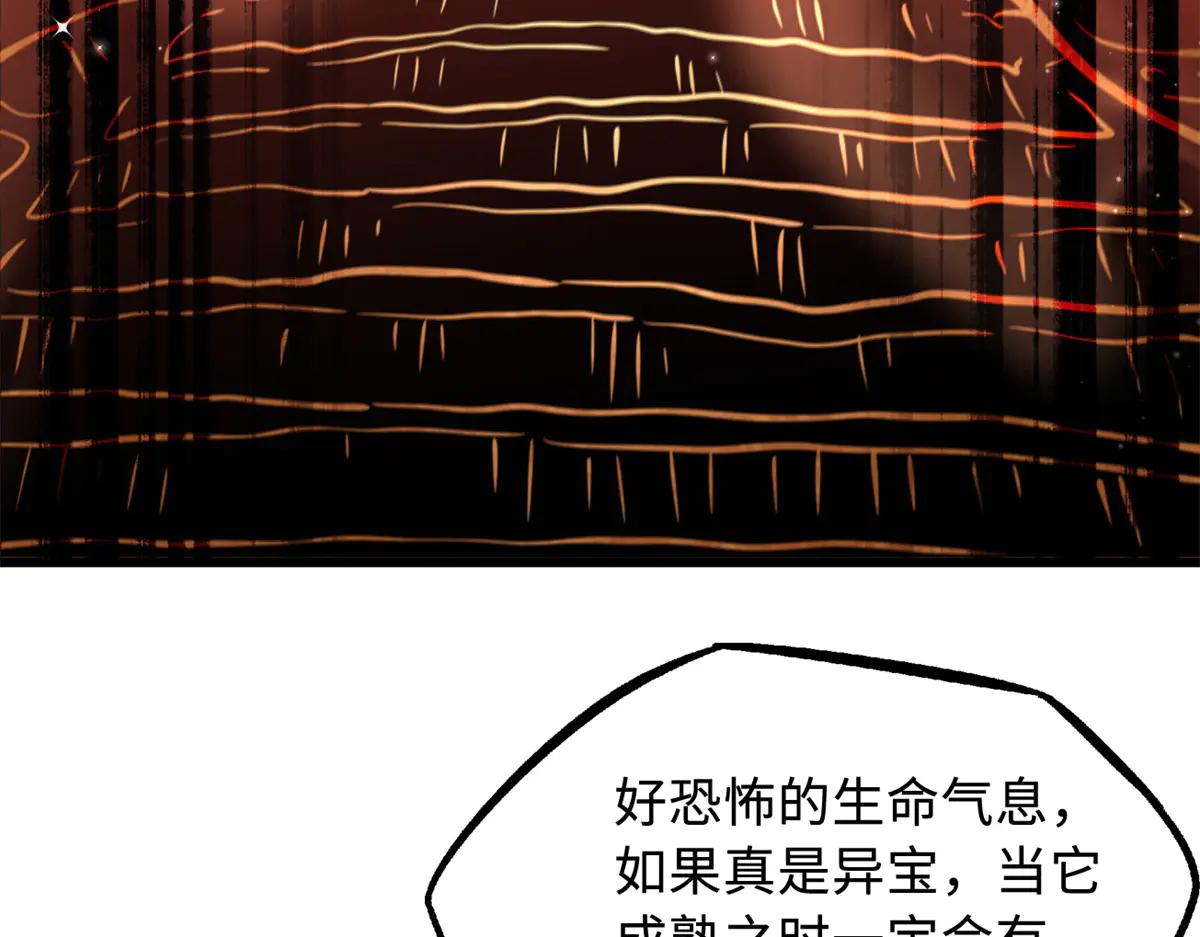 293 奇花 第97页
