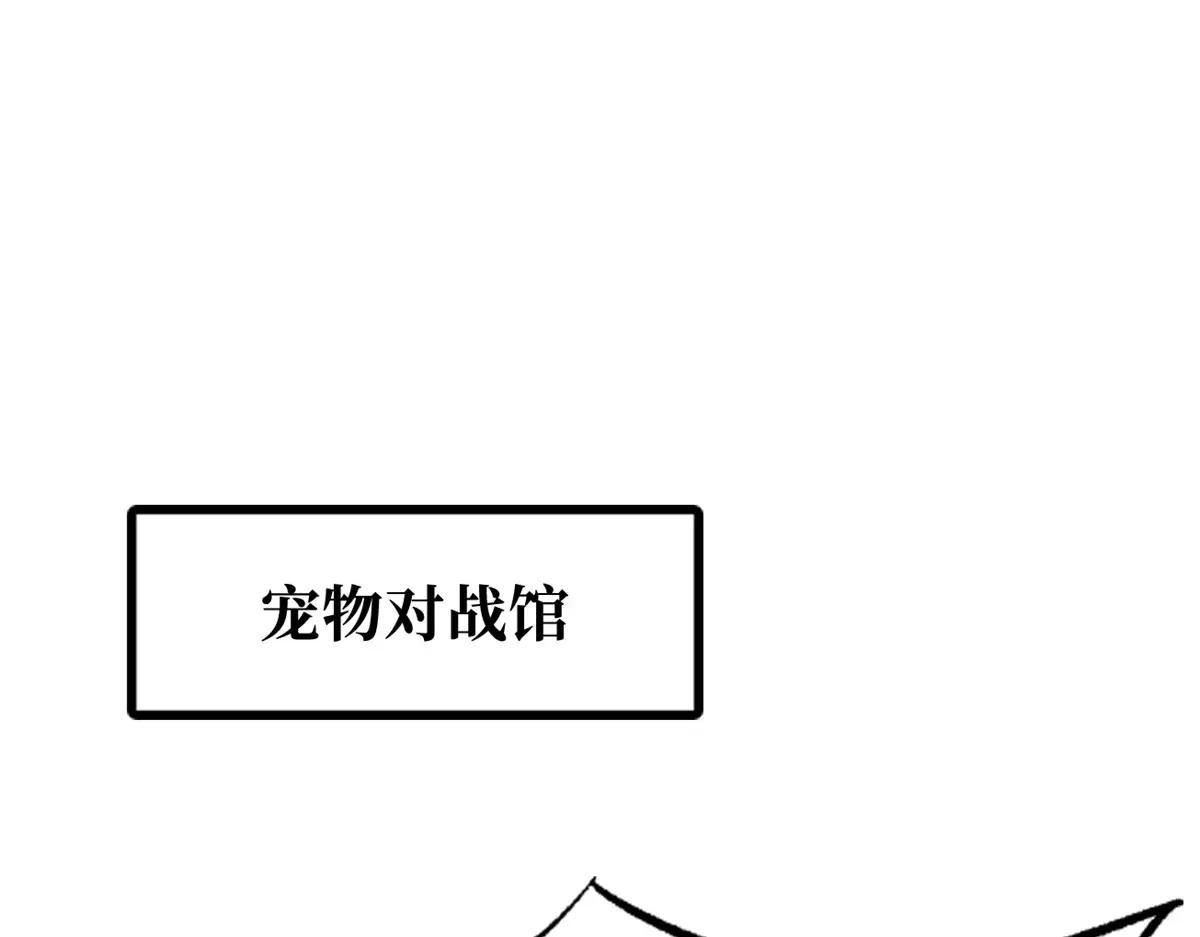 332 宠物丹 第3页