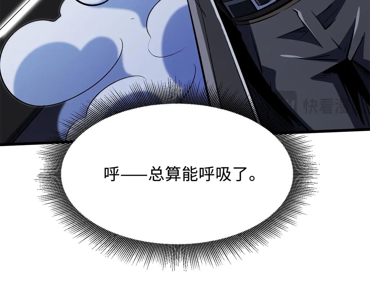 332 宠物丹 第14页