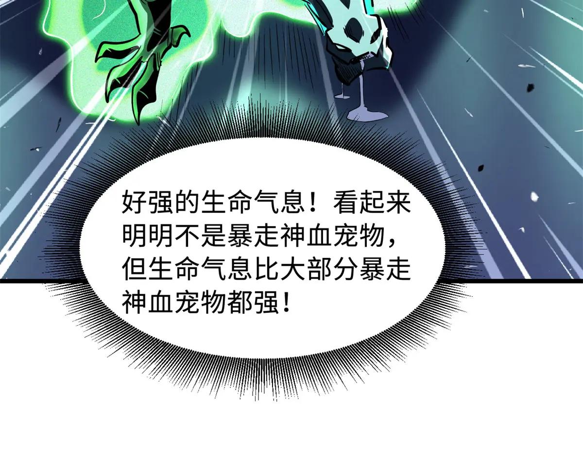 332 宠物丹 第20页
