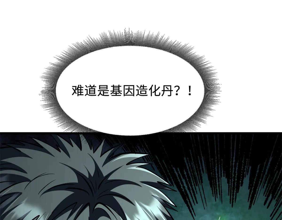 332 宠物丹 第22页