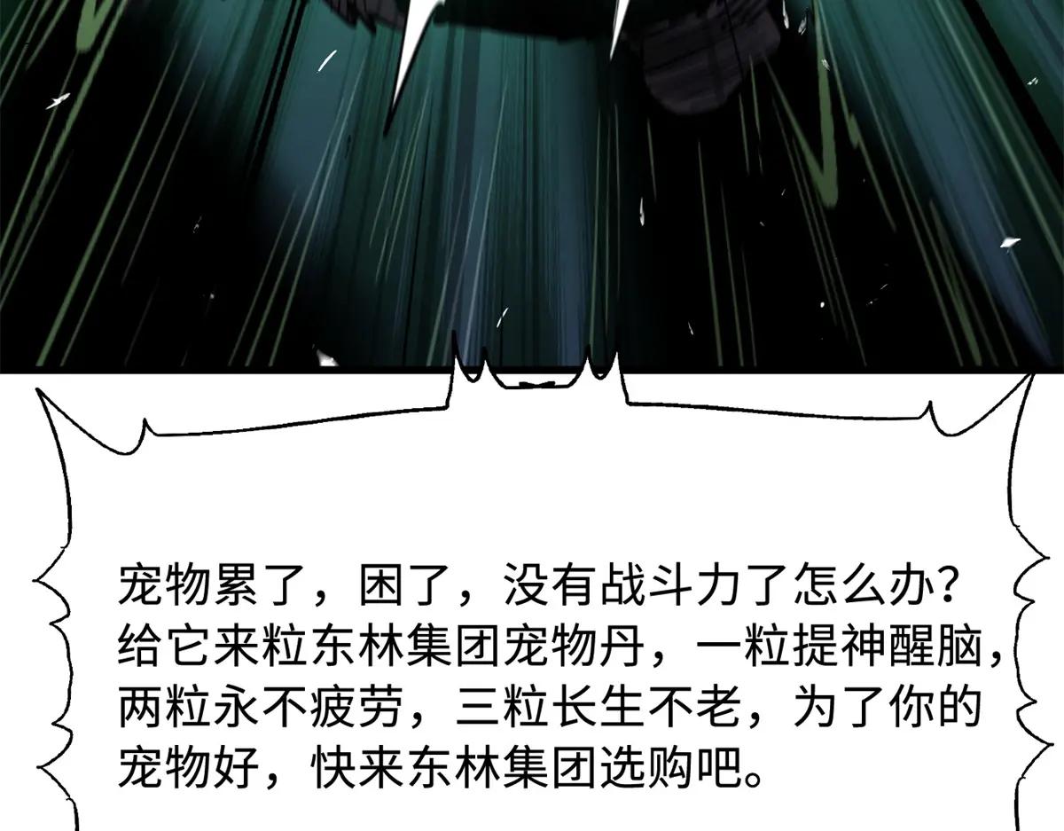 332 宠物丹 第73页