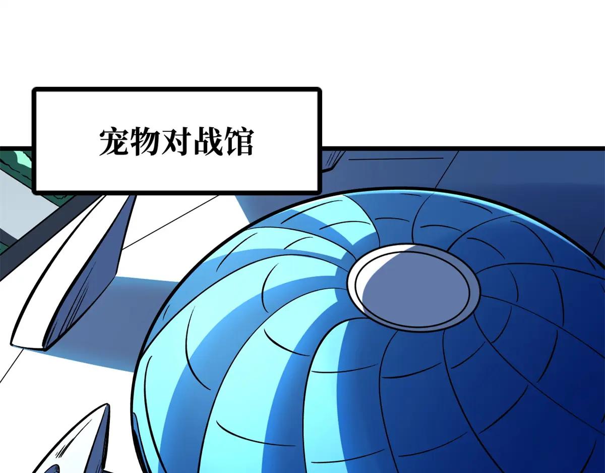 332 宠物丹 第78页