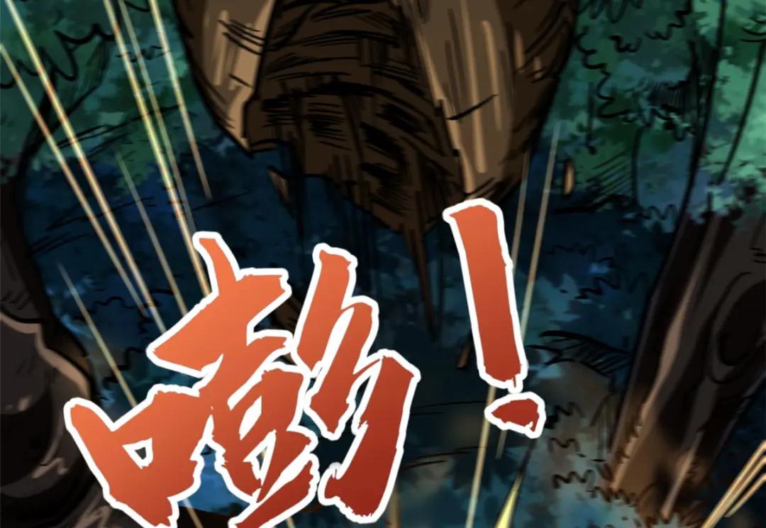 32 武道大会 第20页