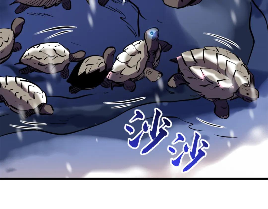 198 红色香菇 第13页