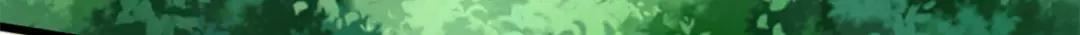 61 幽灵晶蚁 第27页