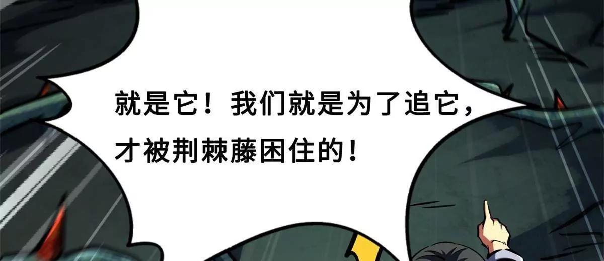 420 受伤的白熊 第115页