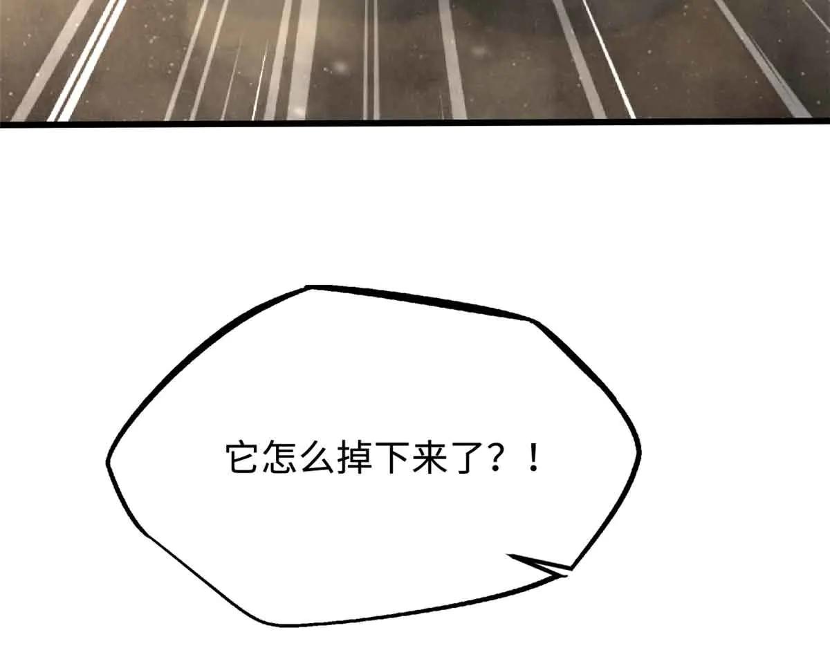 288 重生的白犀牛 第93页
