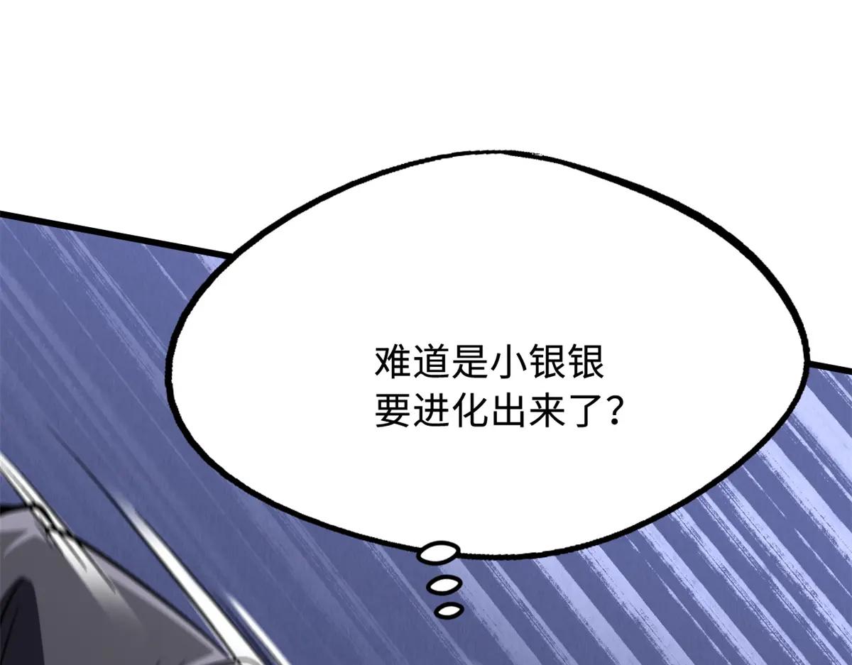 307 小银银，进化完成！ 第146页