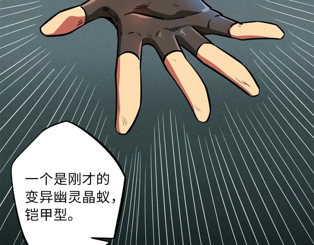 62 超级生物战甲 第28页