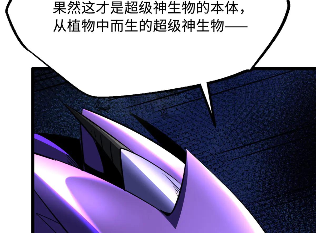 277 隐藏的本体 第176页