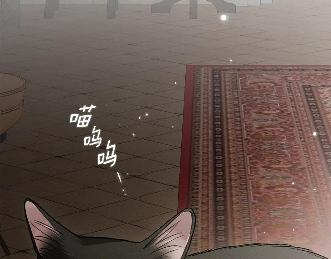 第153话 复仇 第48页