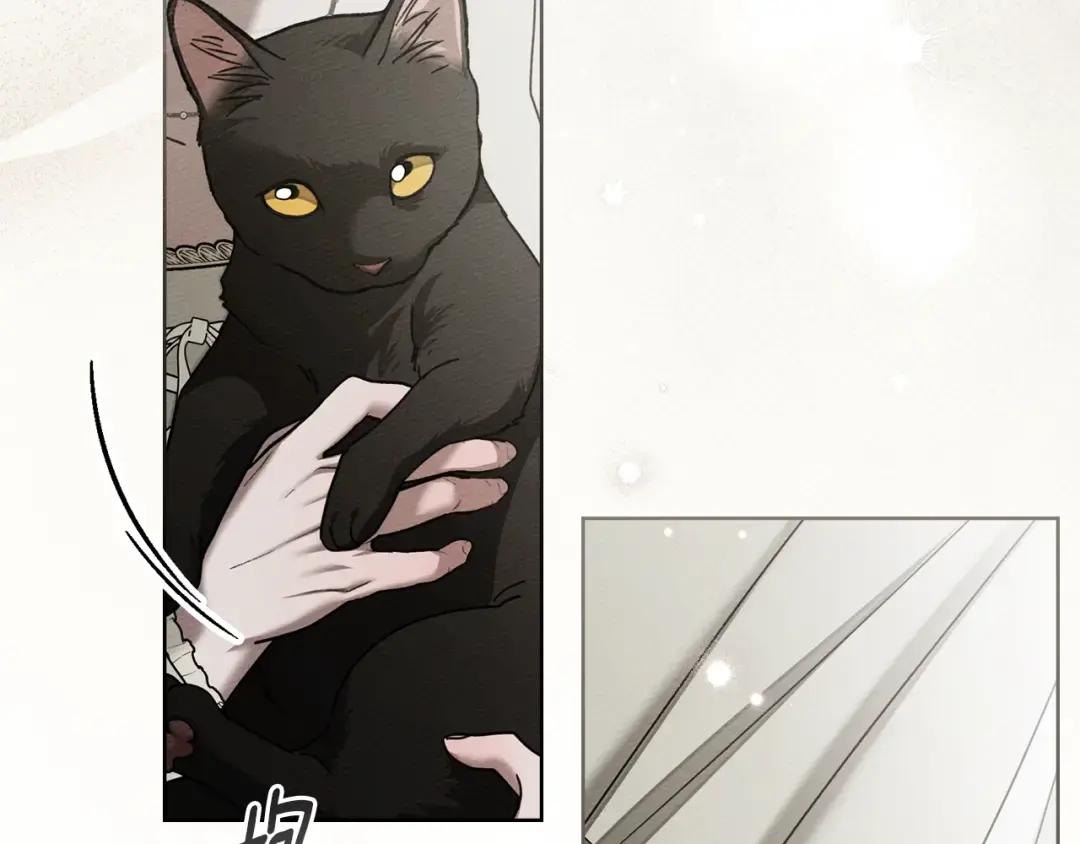 第153话 复仇 第56页