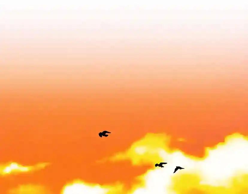 第14话 别扭的坦诚 第40页