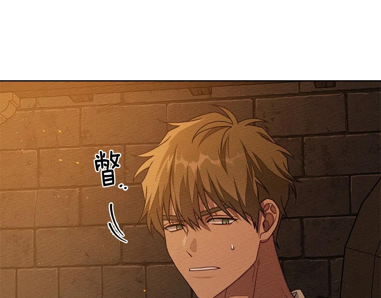 第80话 骑士精神 第29页
