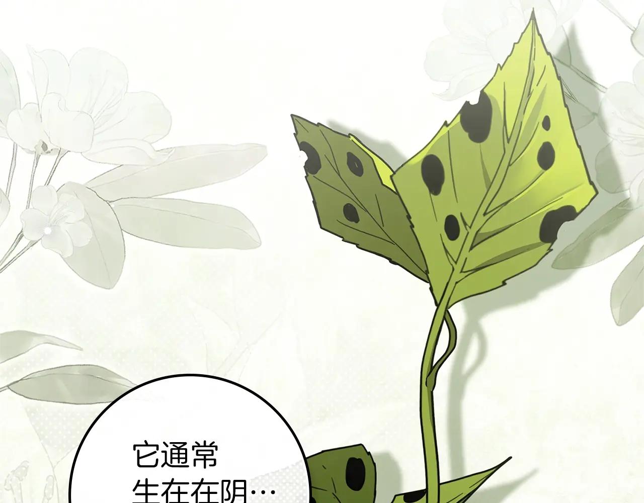 第117话 止疫良方 第14页
