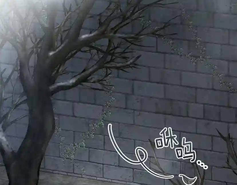 第54话 躲在墙角 第166页