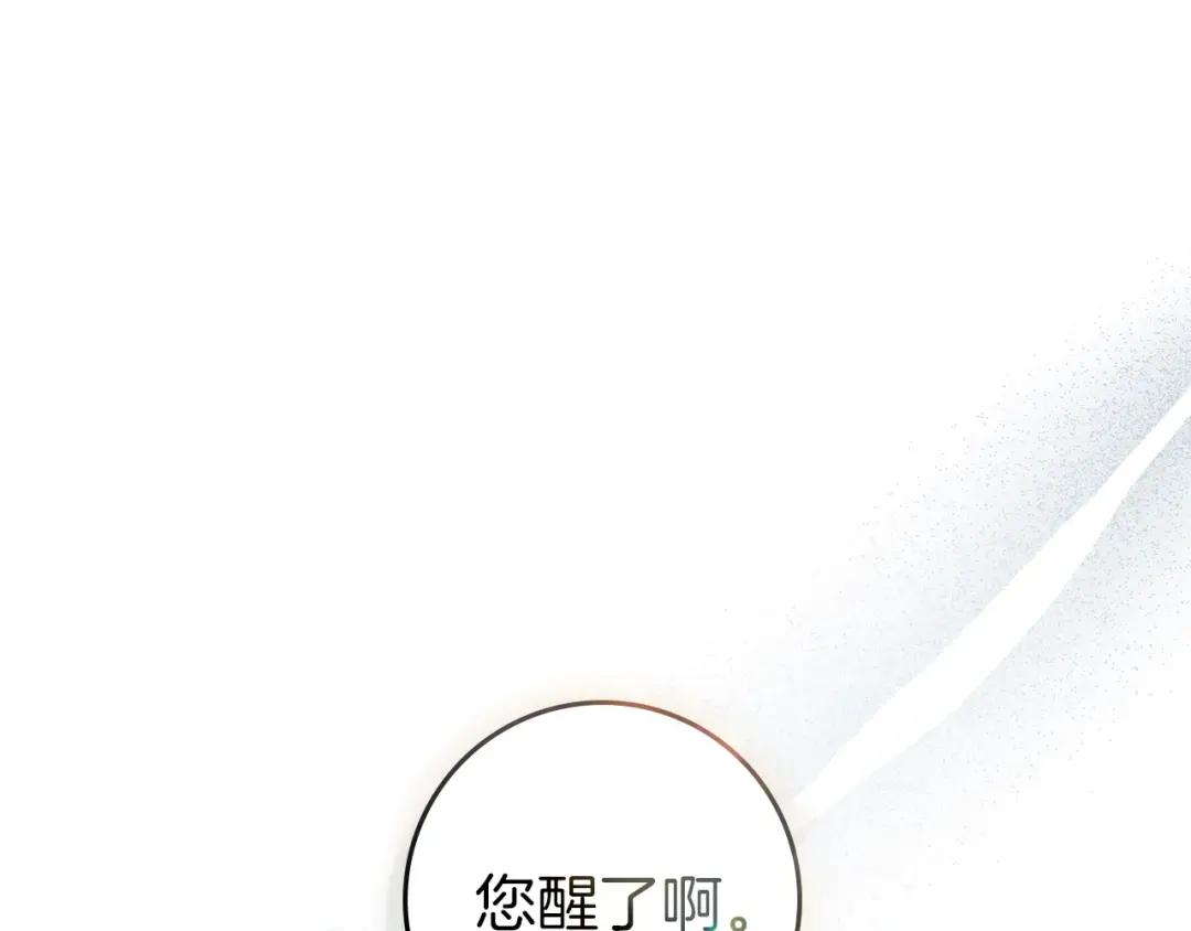第142话 抵达王宫 第220页