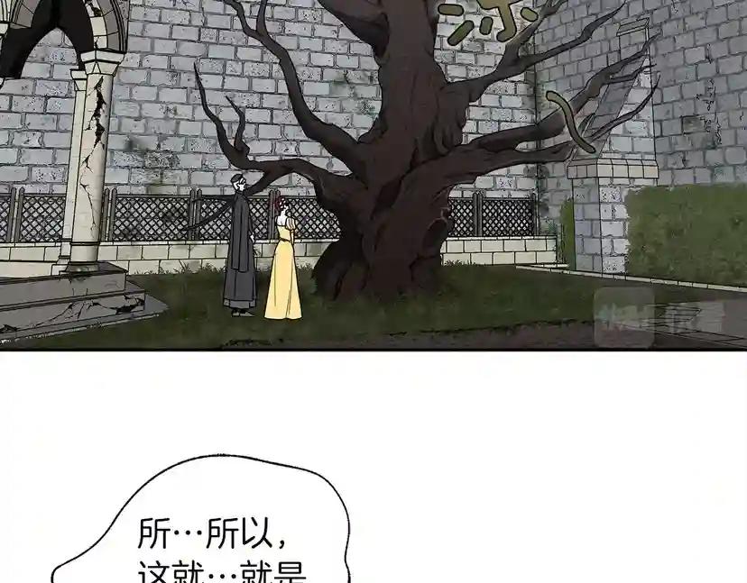 第9话 夫人的责任 第221页