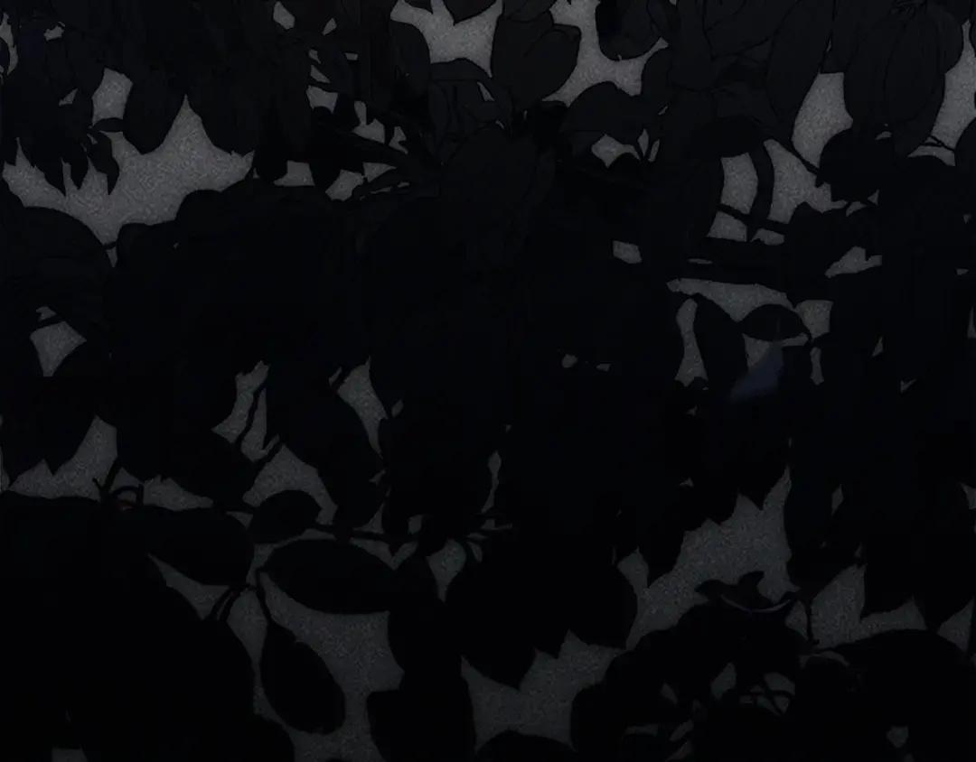 第146话 姐妹间的谈话 第260页