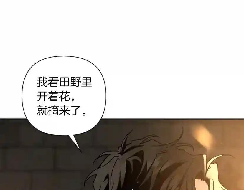 第13话 田野上的花 第162页