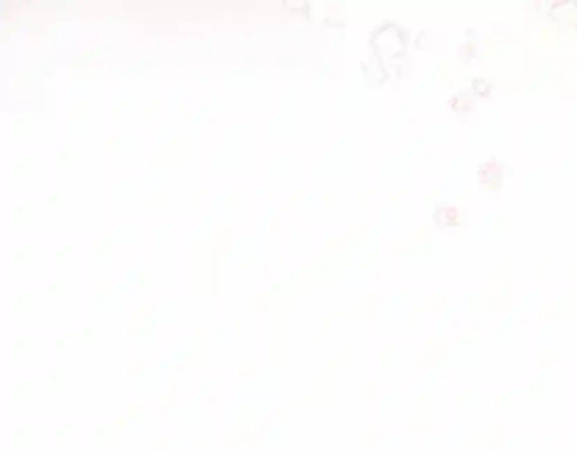 第62话 体贴的男人 第197页