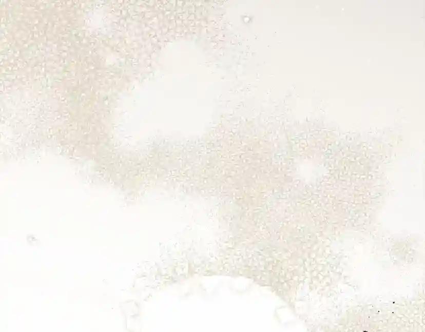 第59话 我最在意的只有你 第221页