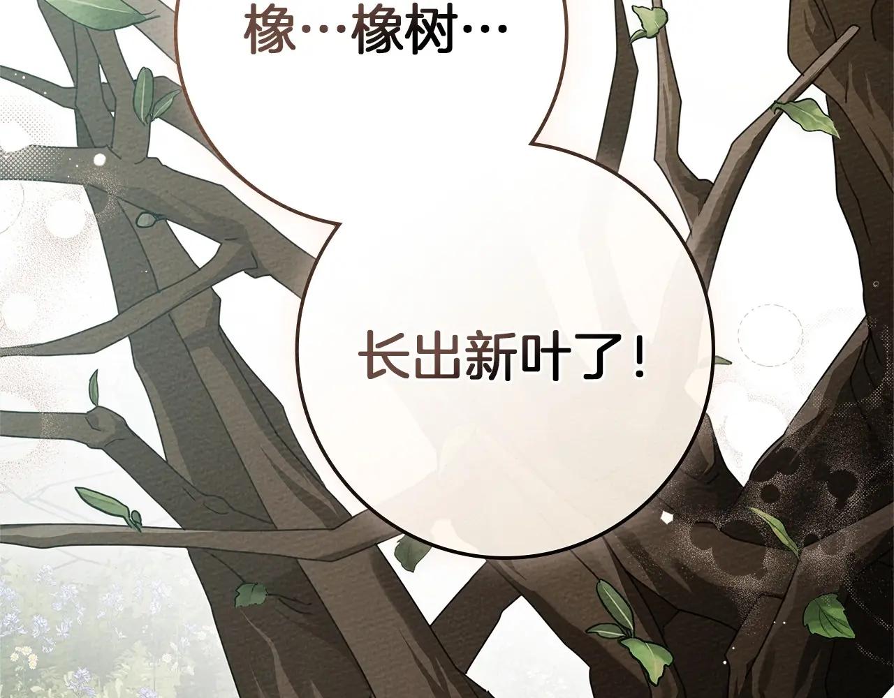 第78话 我要让你成为最尊贵的淑女 第83页